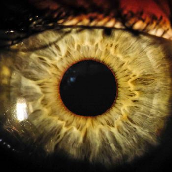Iris Auge 18